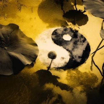 道德經(jīng)精義:探究道與德,踐行無為智慧