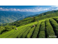 千年古韻與舌尖盛宴：一日游的榮昌之旅