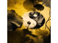 道德經(jīng)精義：探究道與德，踐行無為智慧