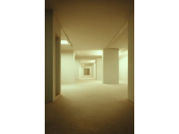 50+的腸道守護神！乳酸菌養護指南，助您恢復健康腸道菌群