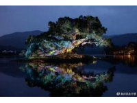 今日頭條新功能：實(shí)況照片分享，余姚美食美景生動(dòng)呈現(xiàn)