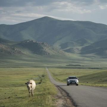 川西小環(huán)線自駕之旅:穿越雪山與美麗草原的5天4夜之行