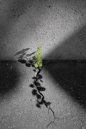 生活的小常識,原來如此!