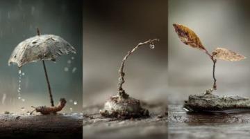 生活的小常識,原來如此!