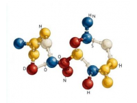 八上化學·第一次月考試題卷（魯教54版）