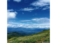 從呼倫貝爾到漠河：大興安嶺11日攝影旅行全攻略