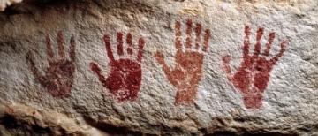 揭秘哺乳動物五指之謎:遺傳密碼與自然選擇的力量