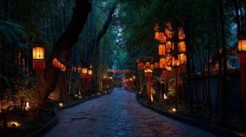 南寧動物園50元暢游攻略:大熊貓與“社牛”動物全看遍