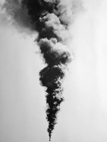 南寧動物園網紅黑猩猩戒煙：從扔糞便到改掉不良習慣的轉變啟示