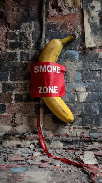 南寧動物園網紅黑猩猩戒煙：從扔糞便到改掉不良習慣的轉變啟示