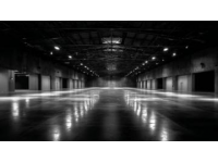 黃頰山雀：亮黃色臉頰與高冠羽的醒目鳥類生態(tài)及分布特點解析