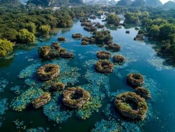 探索廣州增城白水寨美景與美食之旅