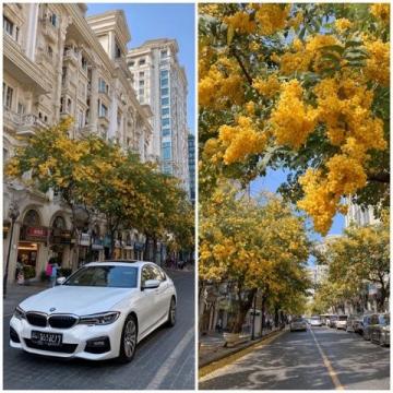 聽說陽泉周邊又多了一個好玩的地方,周末湊個熱鬧,到網紅打卡地—昔陽紅旗一條街逛了