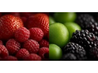 冬季養生食品博覽會熱鬧開場