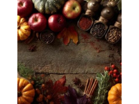 秋日暖心美食季9月2日正式啟幕