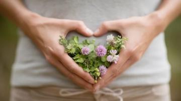 春季養(yǎng)生：春分時節(jié)調養(yǎng)秘籍