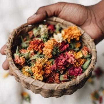 春季養(yǎng)生：春分時節(jié)調養(yǎng)秘籍