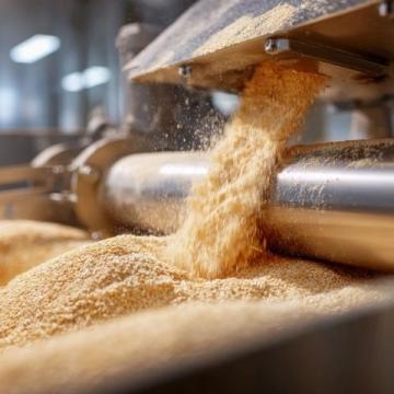 遼寧糧倉上百噸儲備糧失蹤，官方稱被老鼠吃掉引發質疑