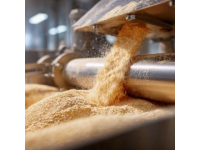 遼寧糧倉上百噸儲備糧失蹤，官方稱被老鼠吃掉引發質疑